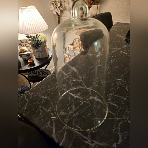 Clear Glass Cloche Dome - Picture 1 of 1